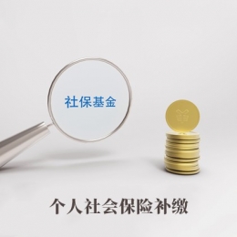 個人社會保險補繳