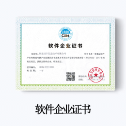 軟件企業評估