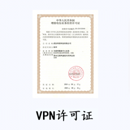 國內虛擬專用網