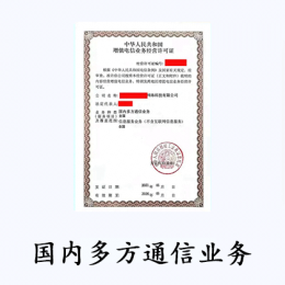 國內多方通信業務-視頻會議服務